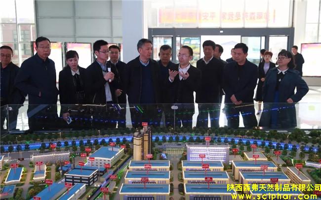 陜西省商務(wù)廳紀(jì)檢組組長胡仁喜一行調(diào)研森弗公司內(nèi)外貿(mào)工作情況